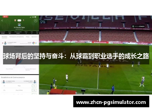 球场背后的坚持与奋斗:从球霸到职业选手的成长之路 球场背后的坚持与奋斗:从球霸到职业选手的成长之路