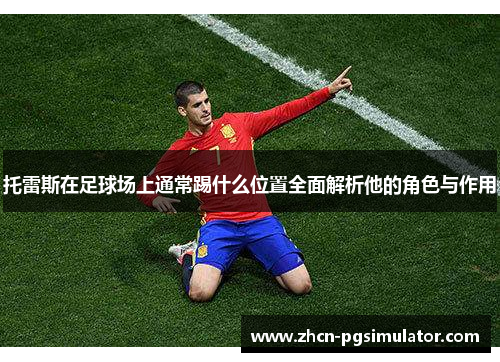 托雷斯在足球场上通常踢什么位置全面解析他的角色与作用 托雷斯在足球场上通常踢什么位置全面解析他的角色与作用