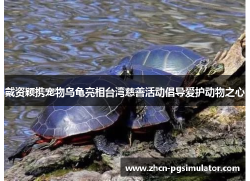戴资颖携宠物乌龟亮相台湾慈善活动倡导爱护动物之心