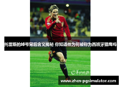 托雷斯的绰号背后含义揭秘 你知道他为何被称为西班牙猎鹰吗 托雷斯的绰号背后含义揭秘 你知道他为何被称为西班牙猎鹰吗