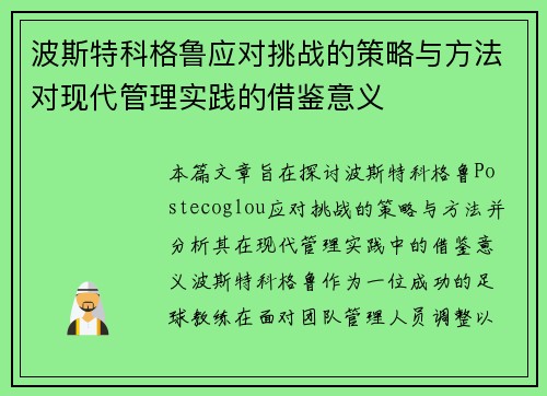 波斯特科格鲁应对挑战的策略与方法对现代管理实践的借鉴意义